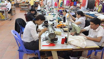 越南崛起 全球產(chǎn)業(yè)轉移新動向下的機遇與挑戰(zhàn)